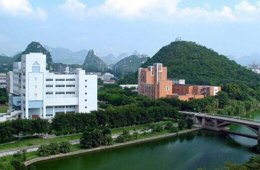 学校网站建设方案
